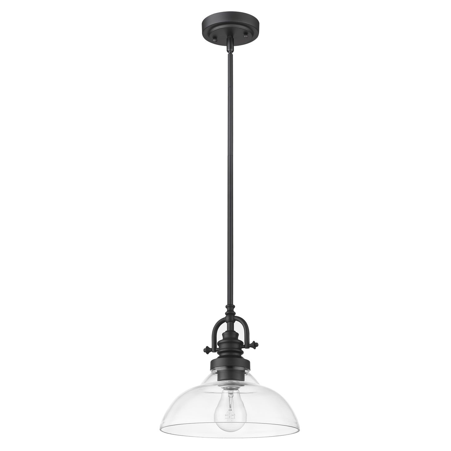 Matte Black Hanging Light w/ Glass Shade