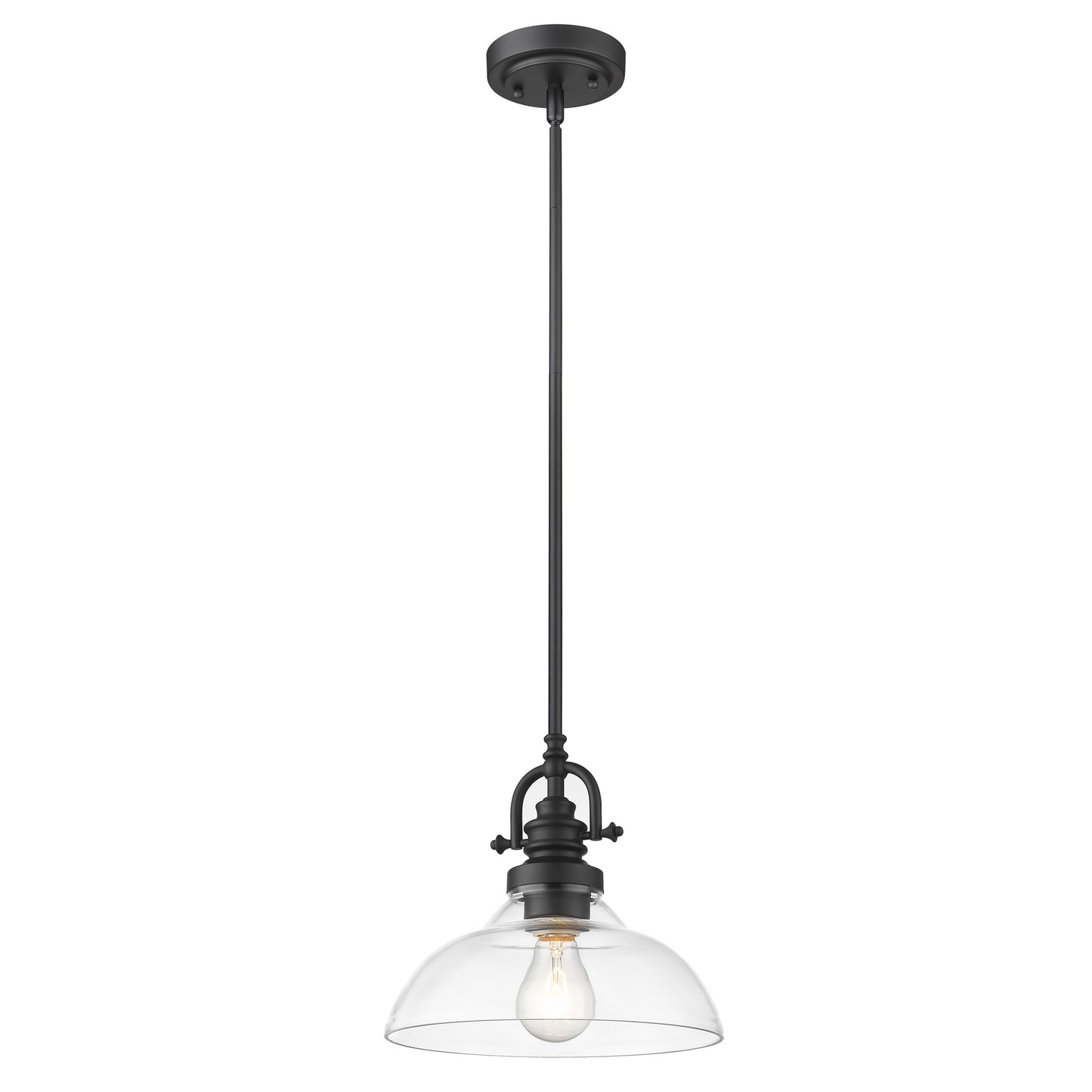 Matte Black Hanging Light w/ Glass Shade