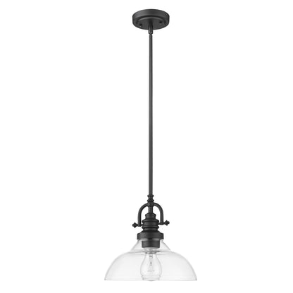 Matte Black Hanging Light w/ Glass Shade