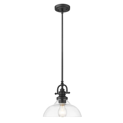 Matte Black Hanging Light w/ Glass Shade