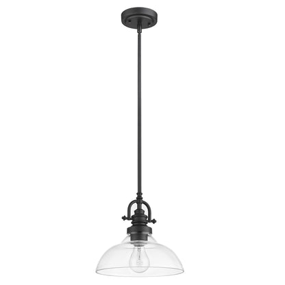 Matte Black Hanging Light w/ Glass Shade