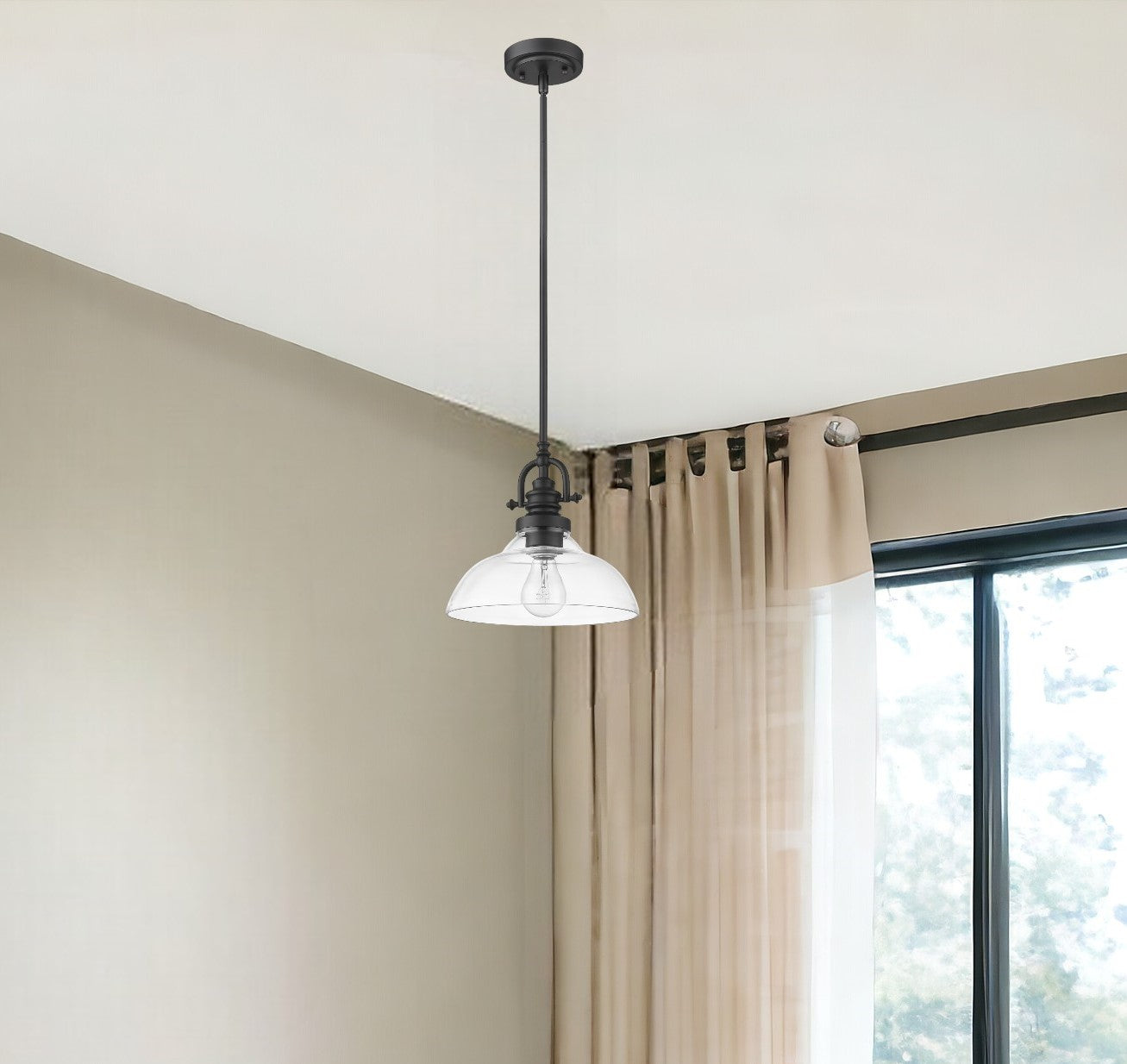 Matte Black Hanging Light w/ Glass Shade