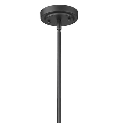 Matte Black Hanging Light w/ Shade