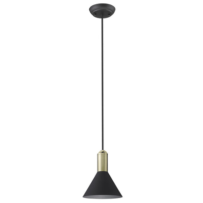 Matte Black & Gold Conical Pendant Hanging Light