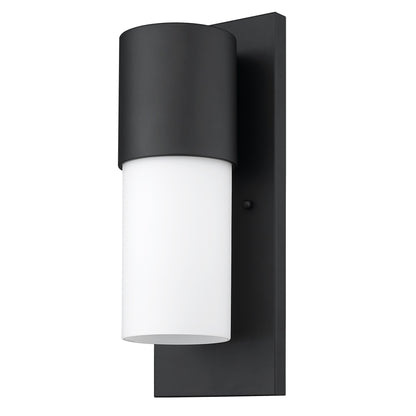Contemporary Matte Black & White Wall Sconce