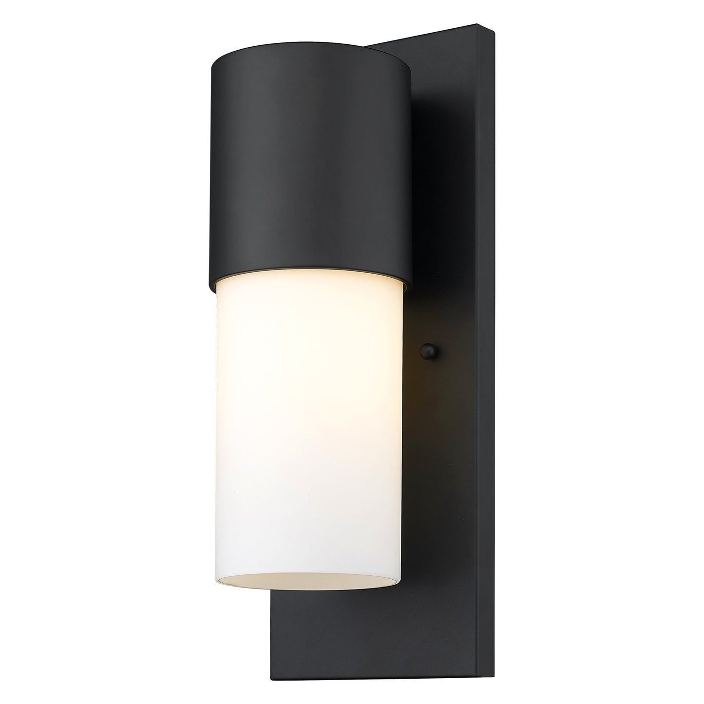 Contemporary Matte Black & White Wall Light