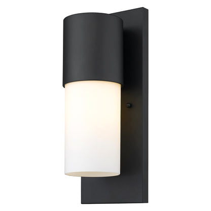 Contemporary Matte Black & White Wall Light