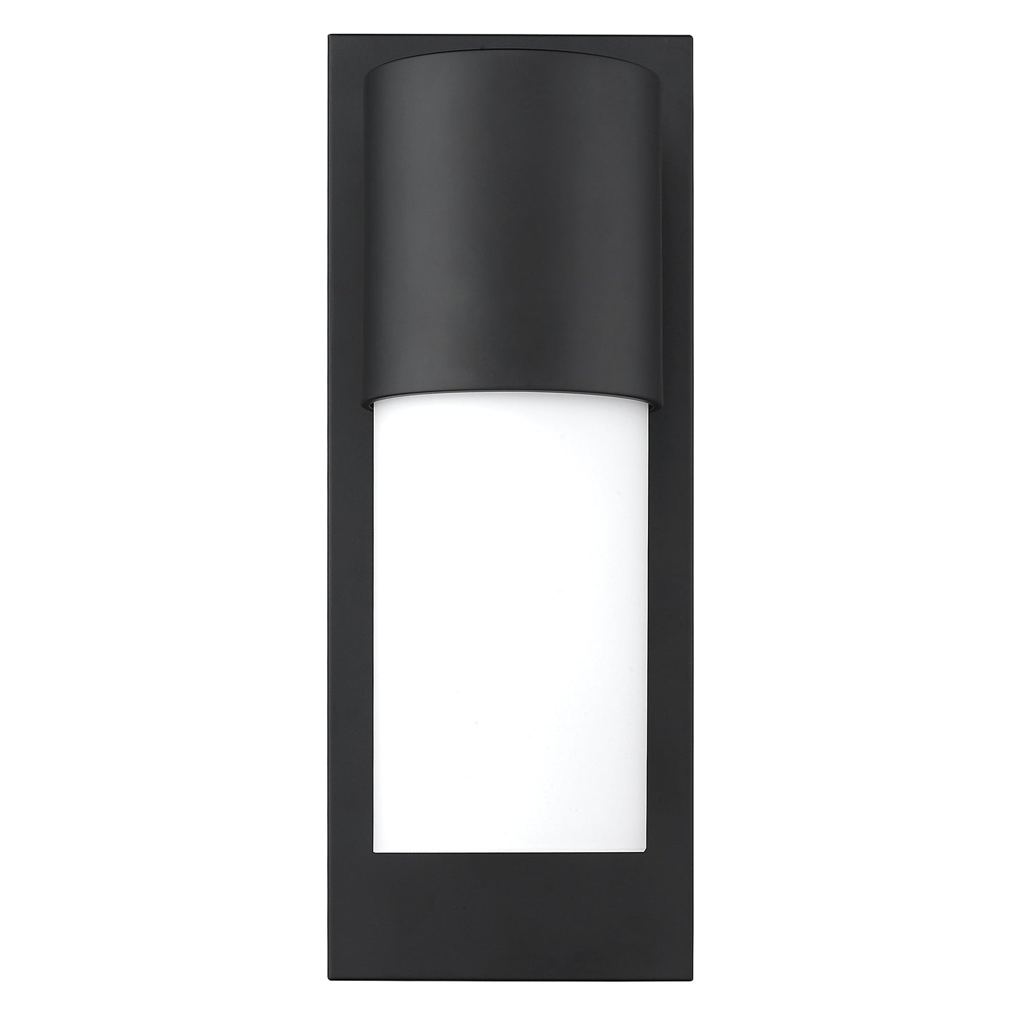 Contemporary Matte Black & White Wall Light