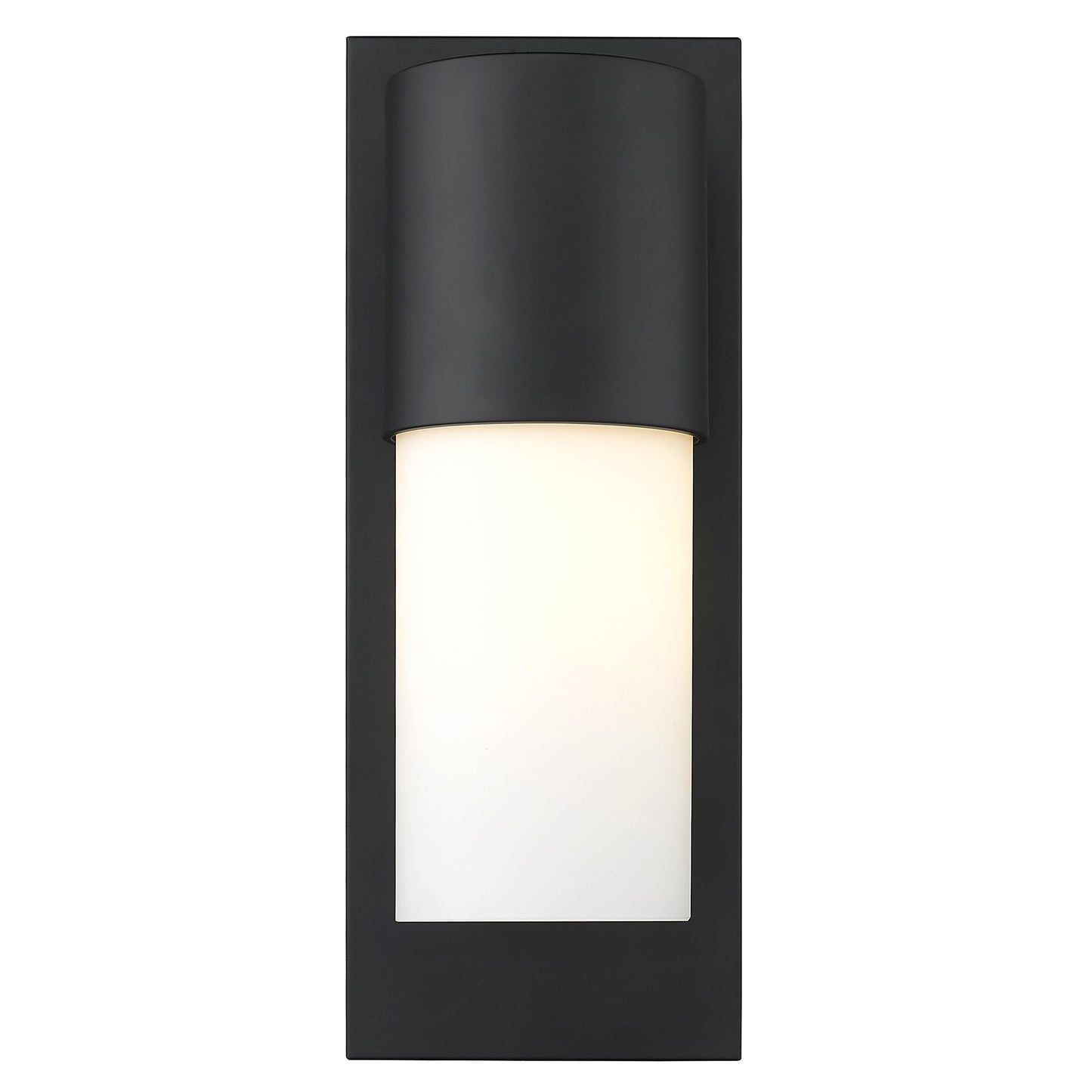 Contemporary Matte Black & White Wall Light