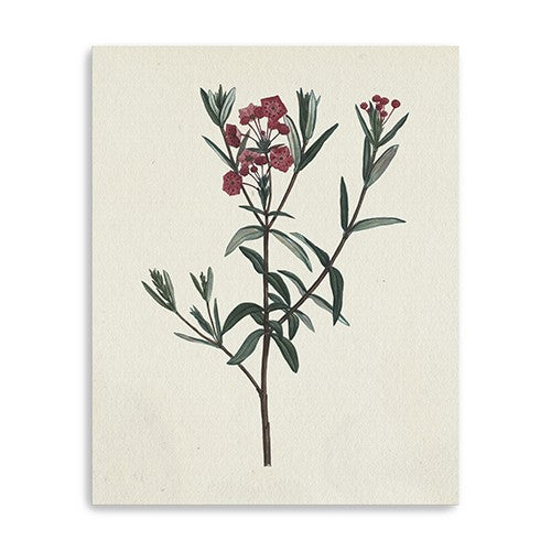 Singular Red Blossom Branch Wall Art