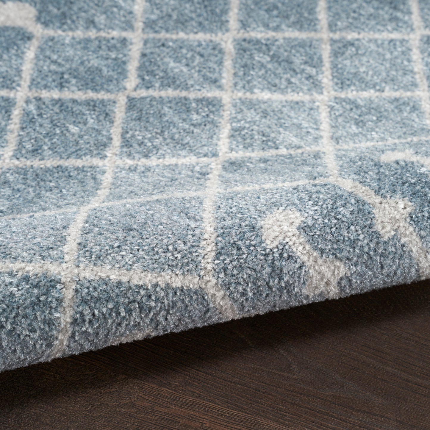 Nourison Astra Blue Pet Friendly Machine Washable Rug - Texture