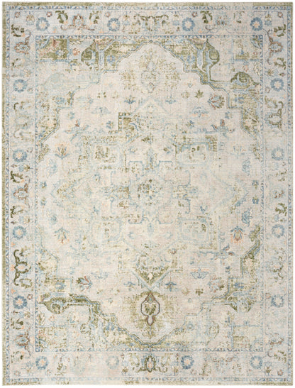 Nourison Astra Blue & Green Pet Friendly Machine Washable Rug - Main