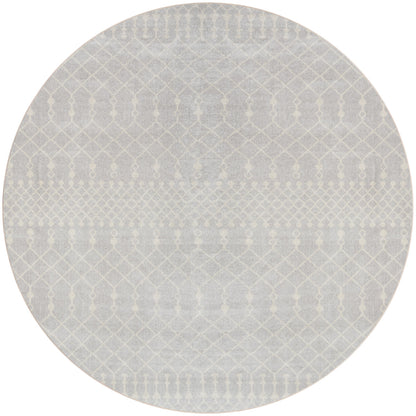 Nourison Astra Grey Pet Friendly Machine Washable Rug - 4' Round