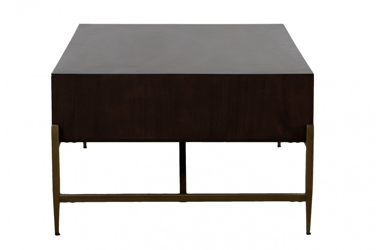 Modern Dark Mango Acacia & Brass Coffee Table