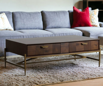 Modern Dark Mango Acacia & Brass Coffee Table