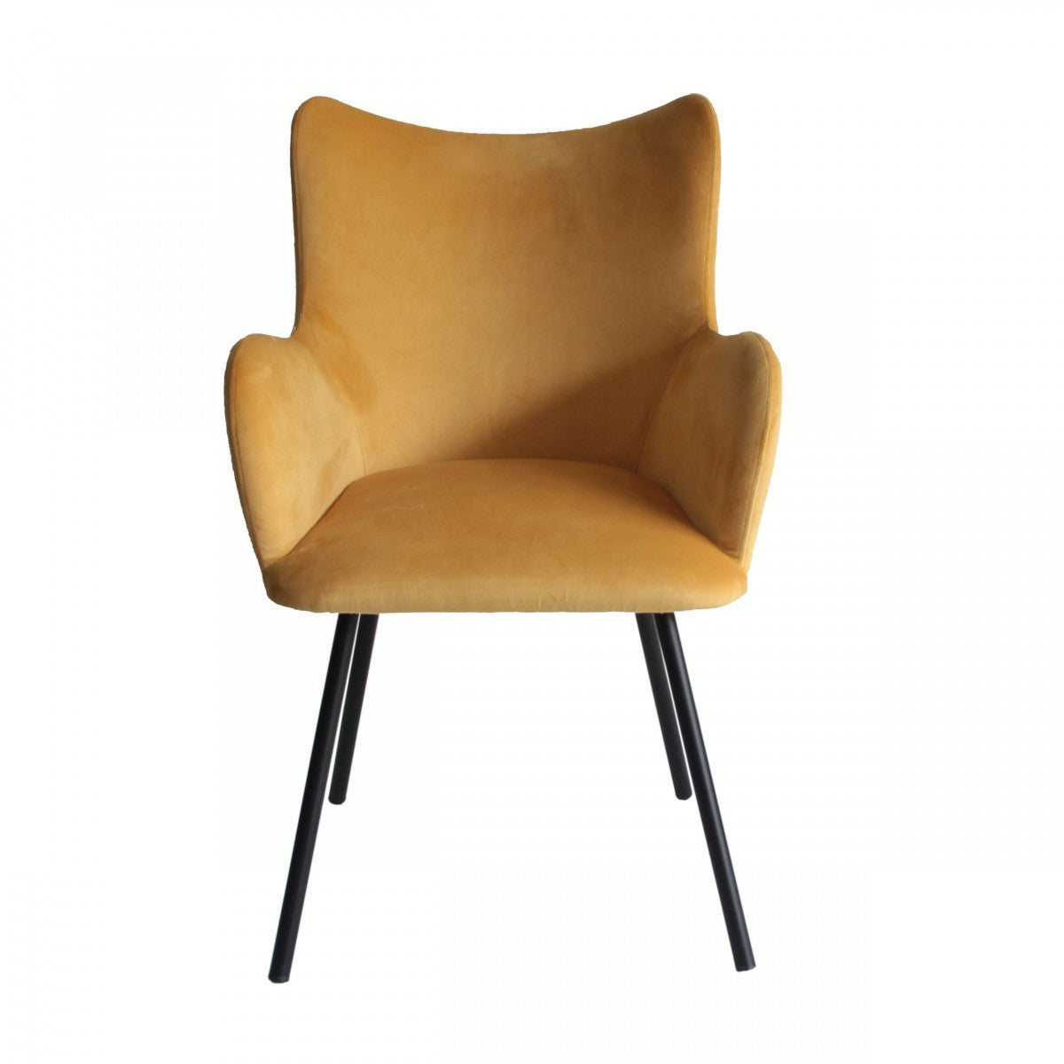 Yellow Curvy Velvet & Black Modern Dining Chair