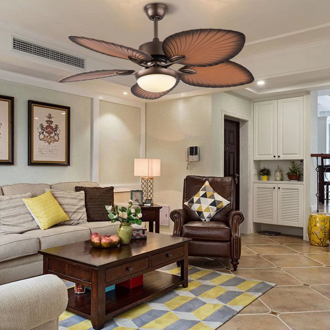 Edna Ceiling Fan & Lamp