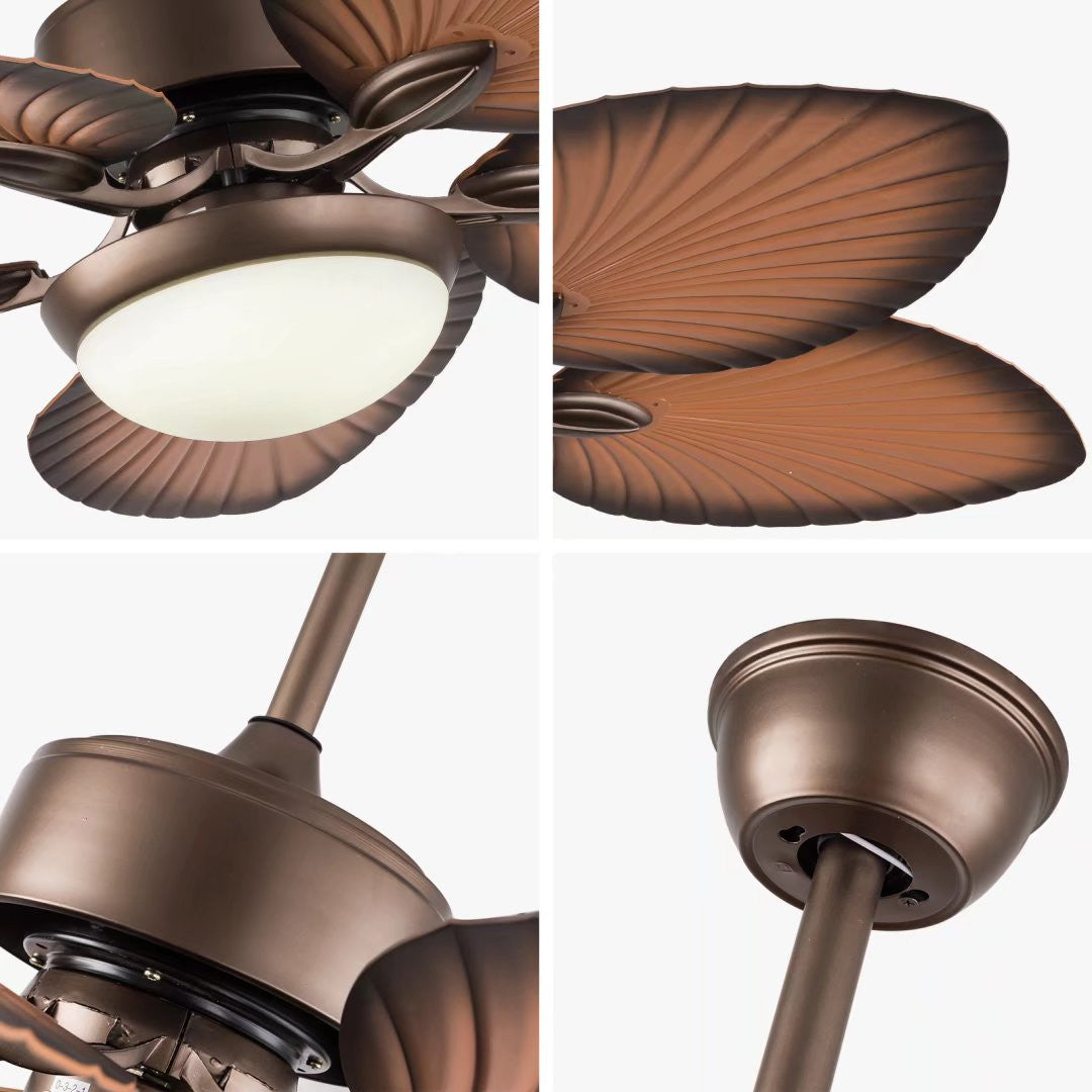 Edna Ceiling Fan & Lamp