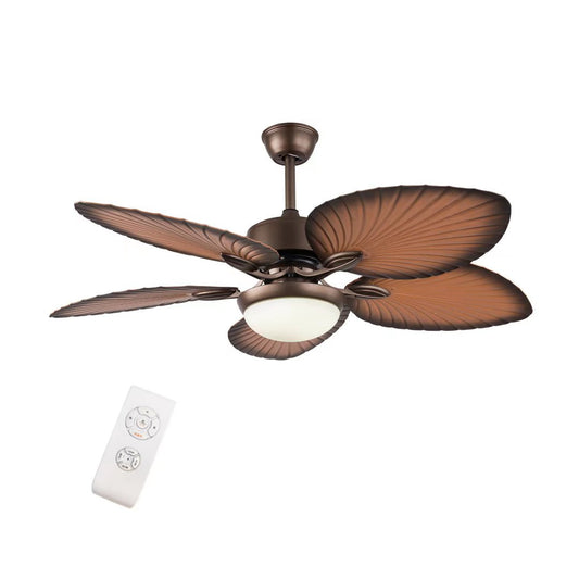 Edna Ceiling Fan & Lamp