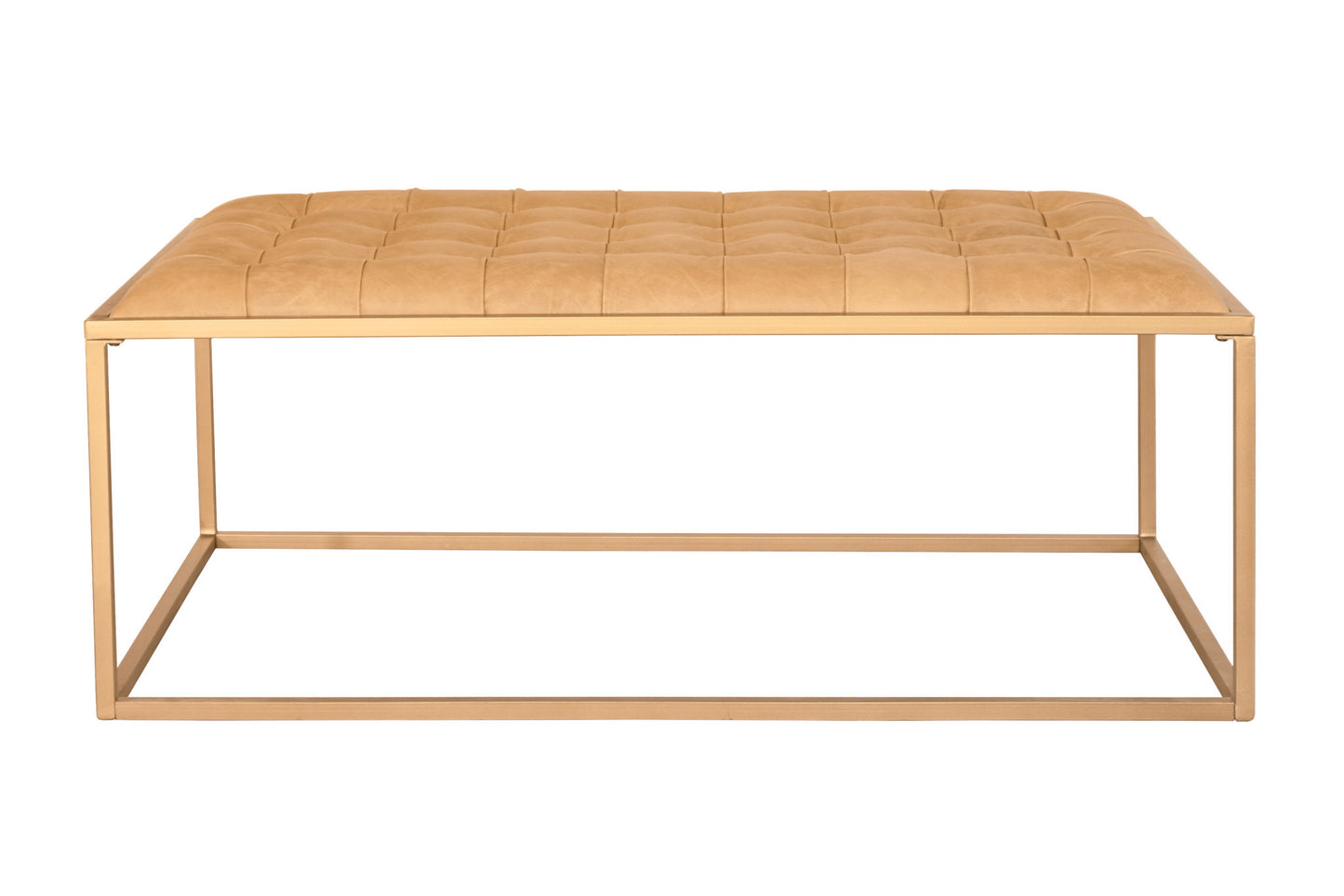 Gold & Brown Leather Coffee Table