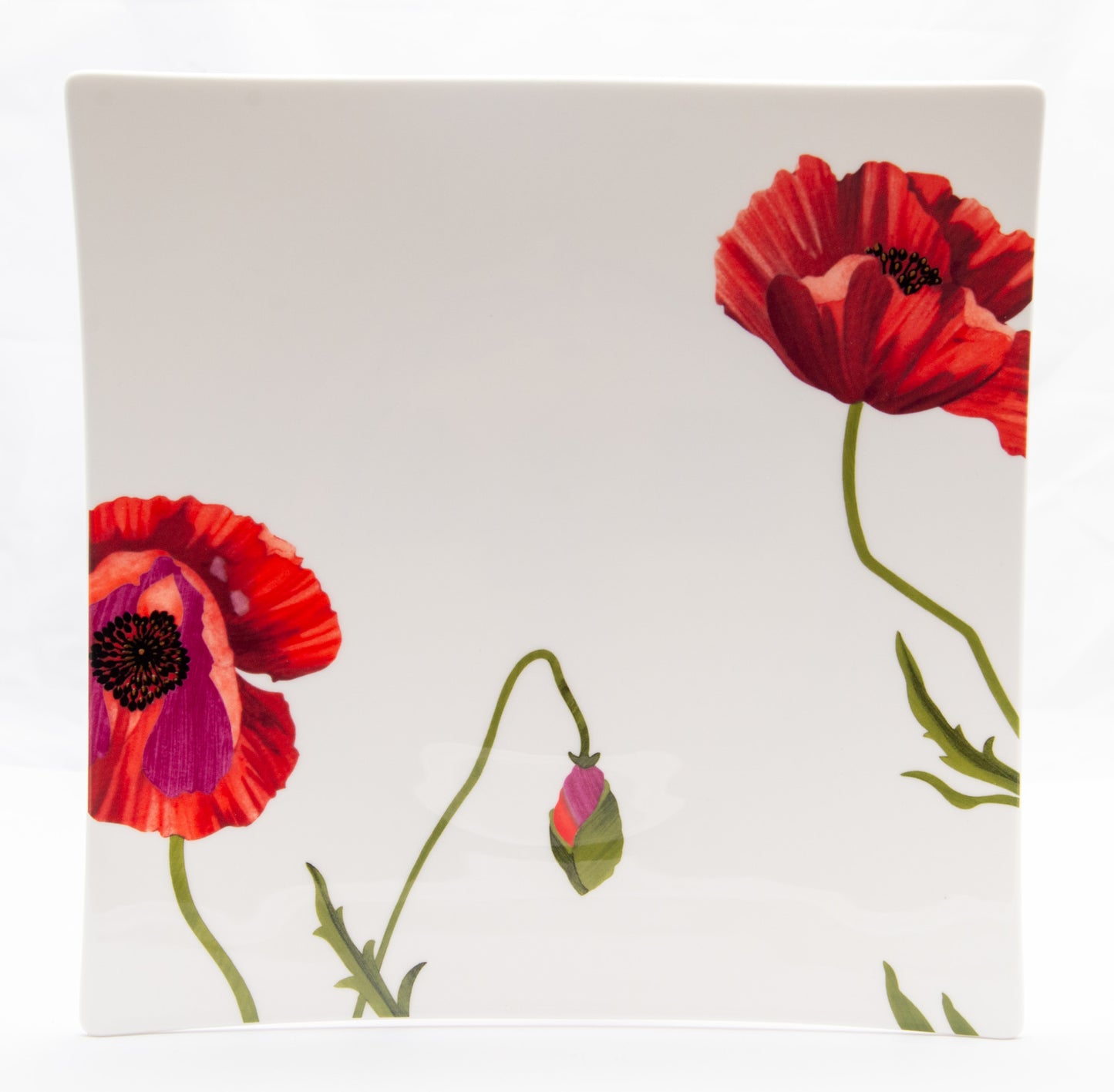 Red and White Six Piece Square Floral Bone China Set of 6 Dinner Plate Set