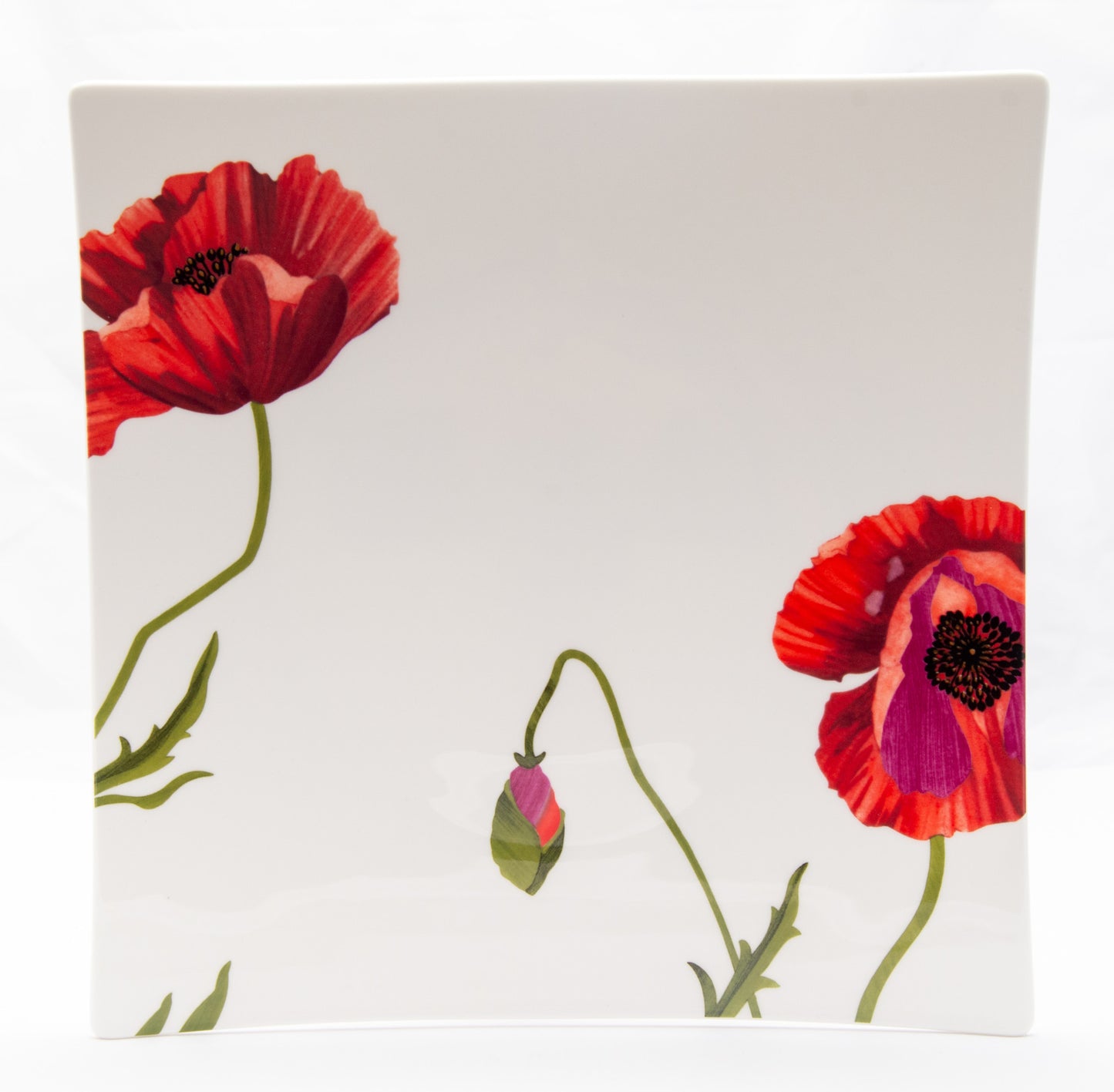 Red and White Six Piece Square Floral Bone China Set of 6 Dinner Plate Set