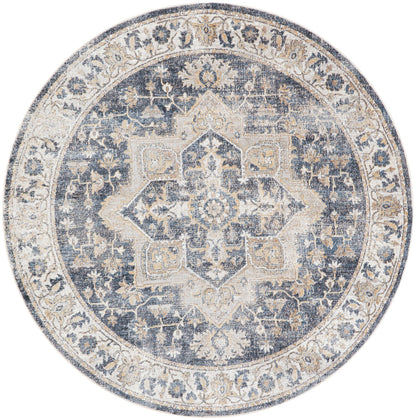 Nourison Astra Grey & Blue Pet Friendly Machine Washable Rug - 7'10" Round