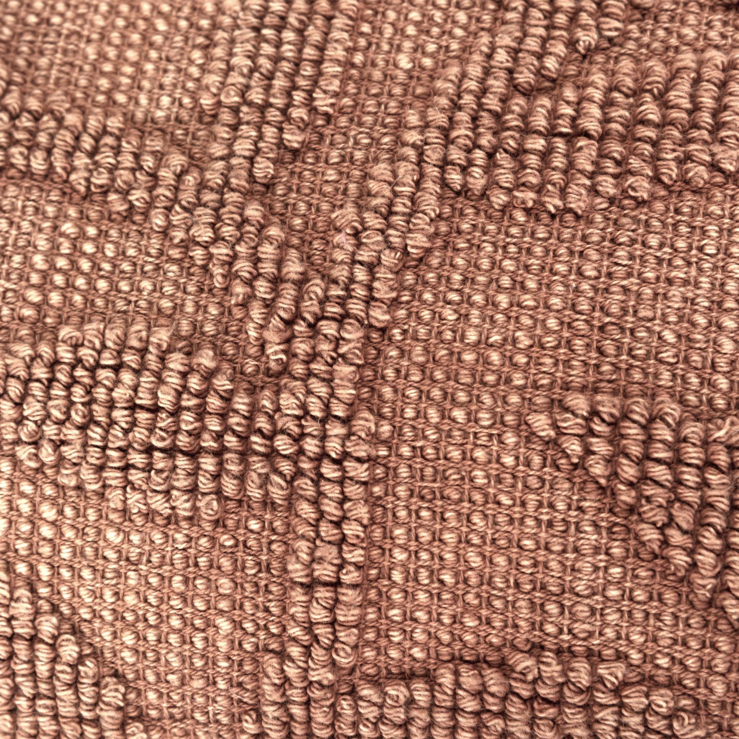Terra Cotta Botanical Cotton Pillow w/ Texture