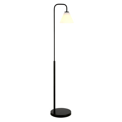 Black Floor Lamp w/ Shade