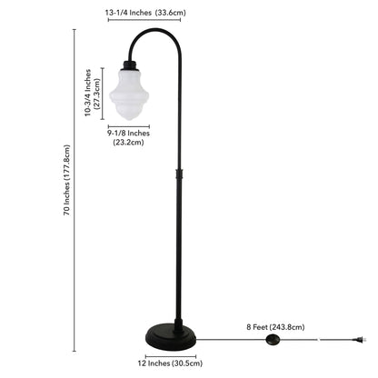 Black Floor Lamp w/ Shade