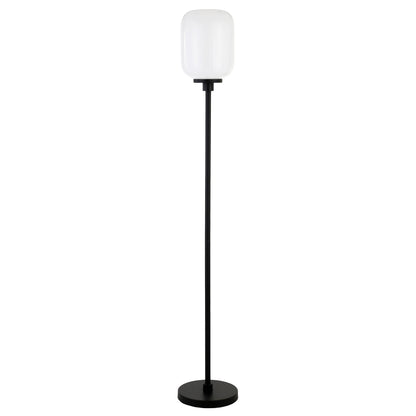 Black Floor Lamp w/ Shade
