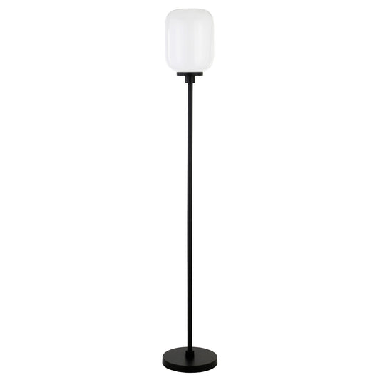 Black Floor Lamp w/ Shade