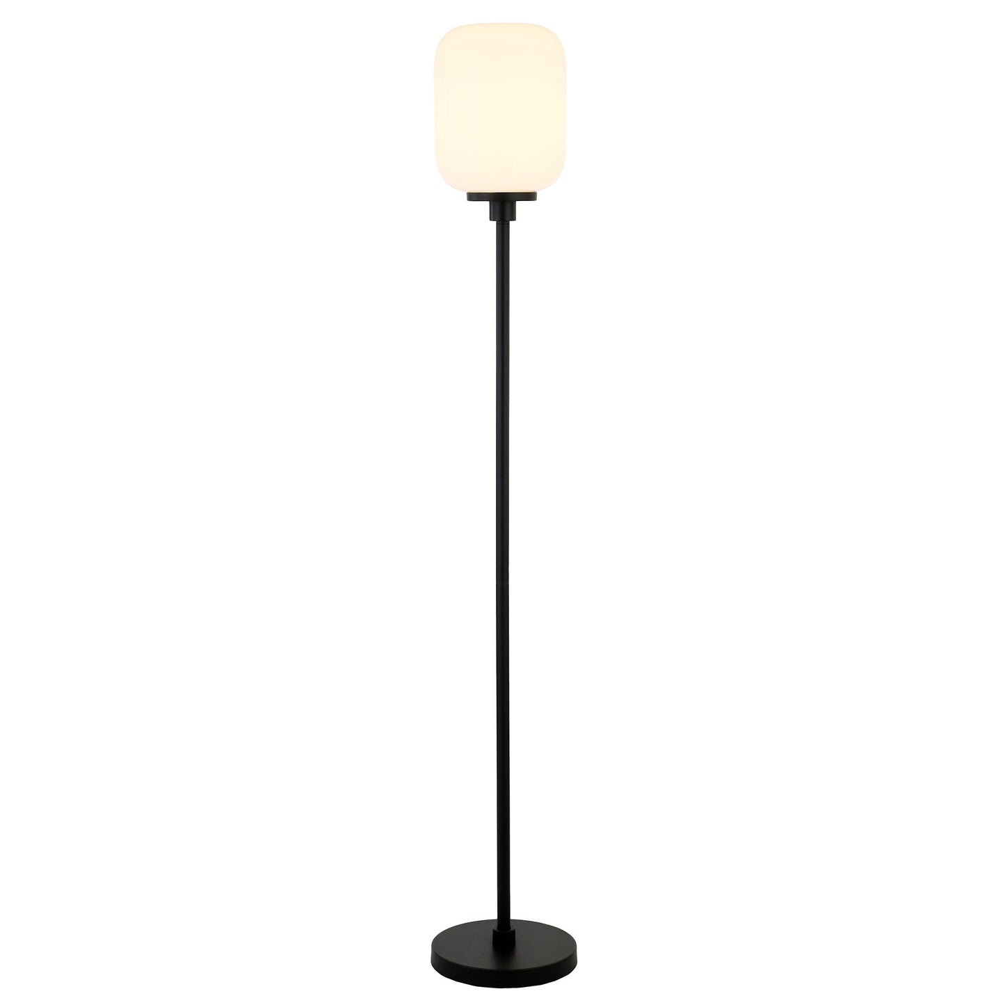 Black Floor Lamp w/ Shade