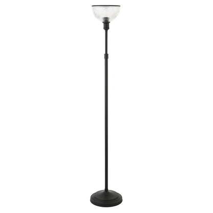 Black Floor Lamp w/ Clear Glass Shade