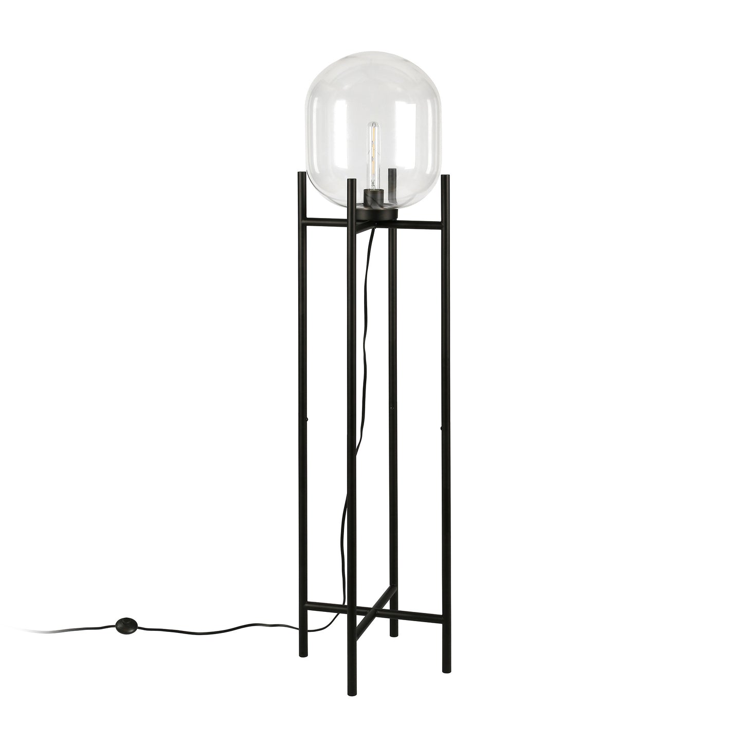 Black Floor Lamp w/ Clear Glass Shade