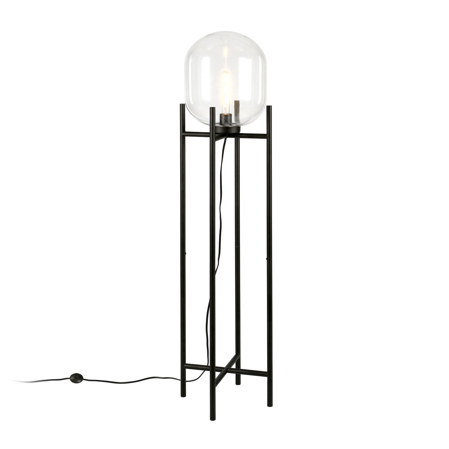 Black Floor Lamp w/ Clear Glass Shade