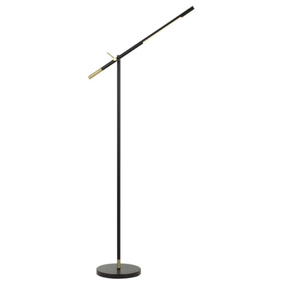Black Adjustable Floor Lamp