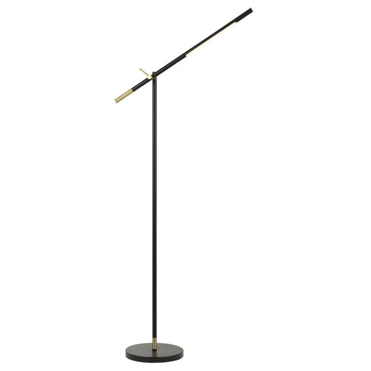 Black Adjustable Floor Lamp