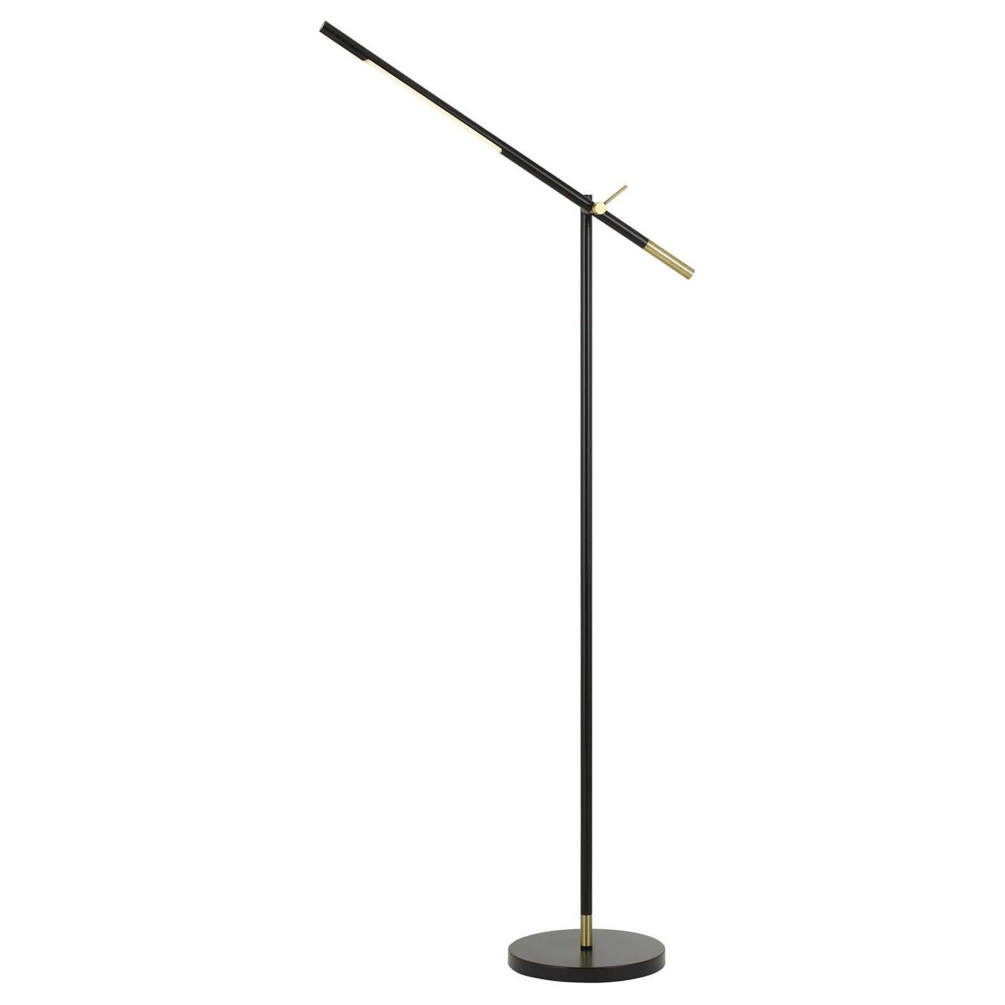 Black Adjustable Floor Lamp