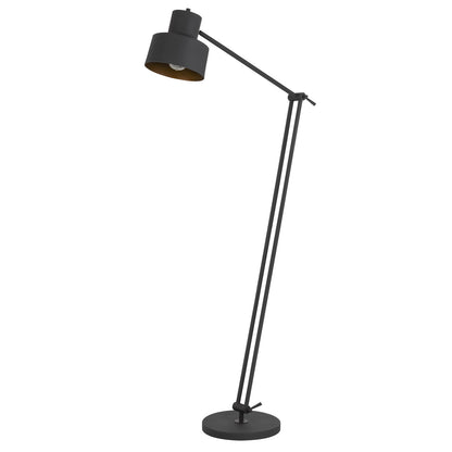 Black Adjustable Floor Lamp w/ Shade