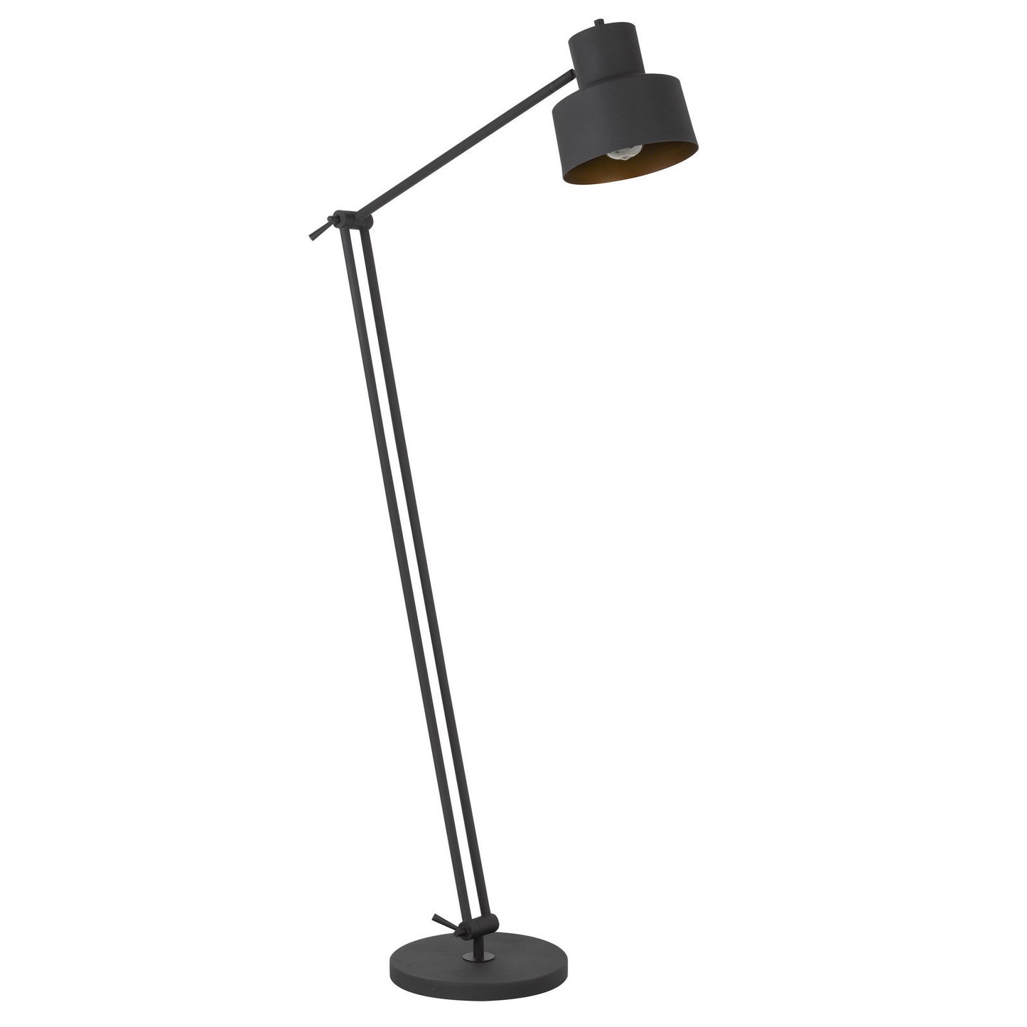 Black Adjustable Floor Lamp w/ Shade