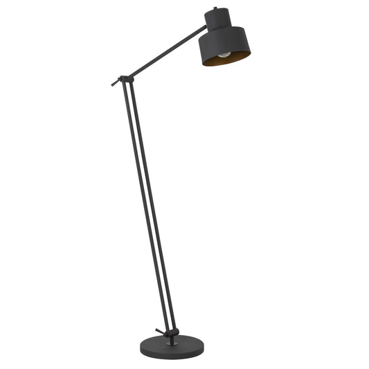 Black Adjustable Floor Lamp w/ Shade