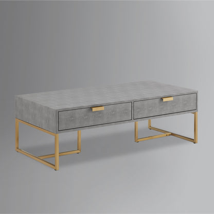 Gray & Gold Stainless Steel Coffee Table w/ 2 Drawers