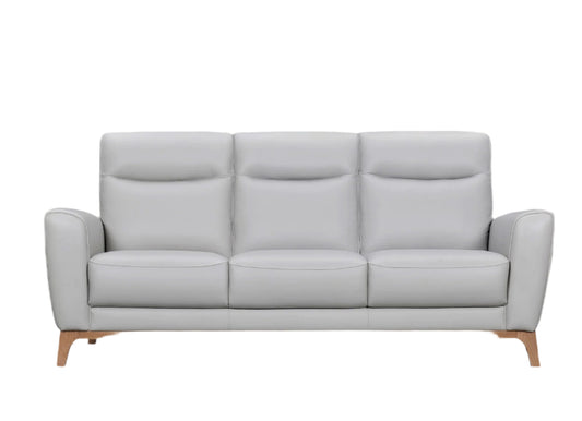 Gray Leather Sofa