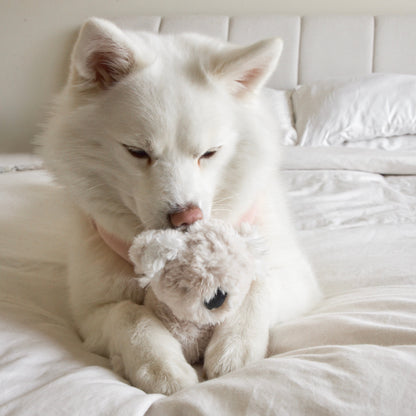 Koko Plushie Set