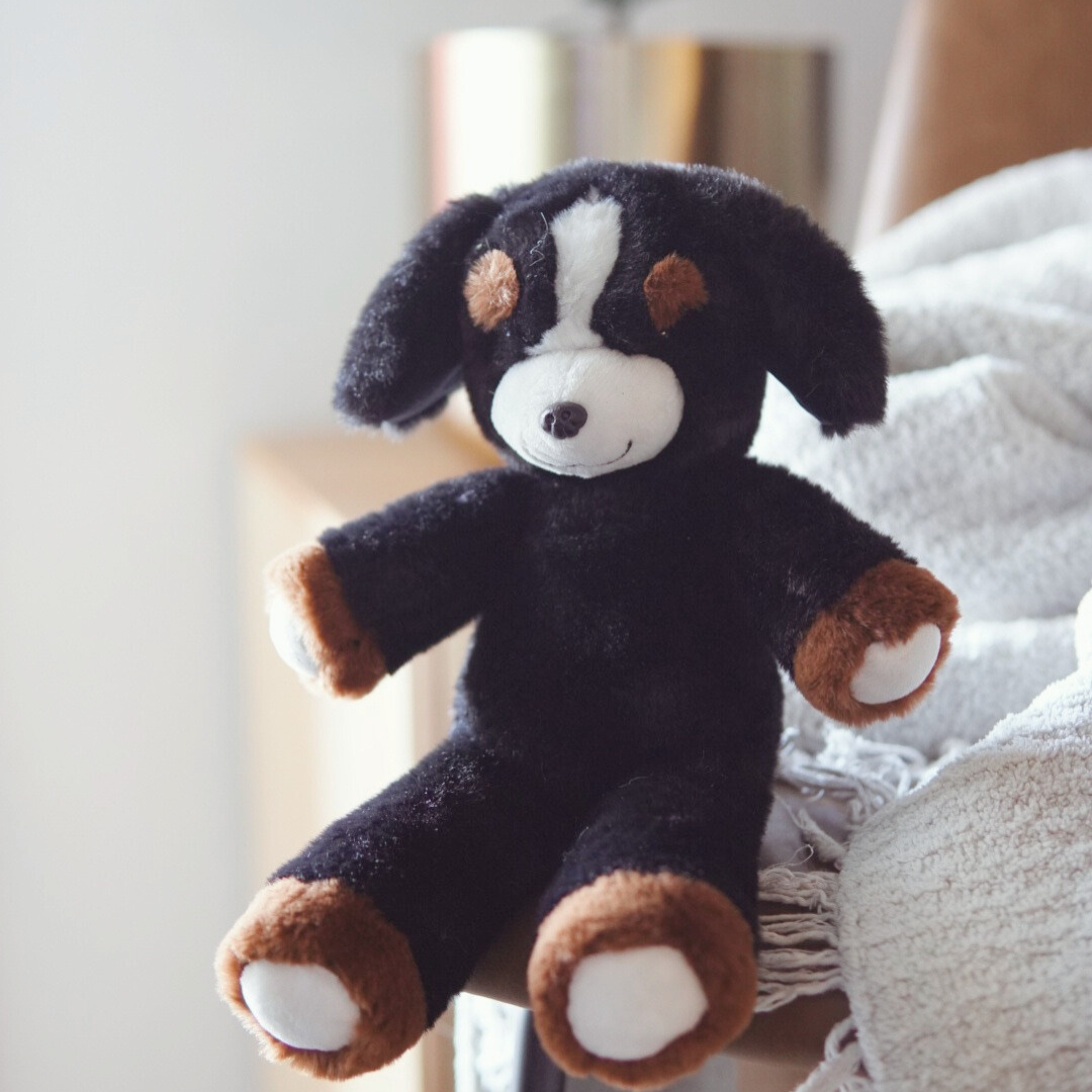 Cooper Canine Zooby® Mini