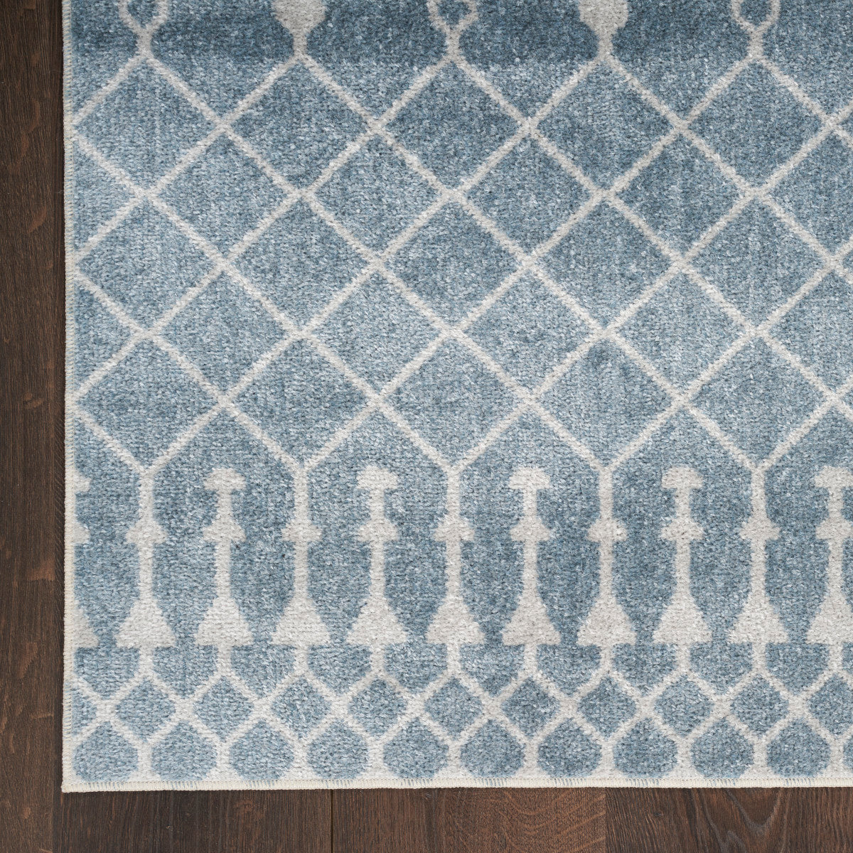 Nourison Astra Blue Pet Friendly Machine Washable Rug - Corner