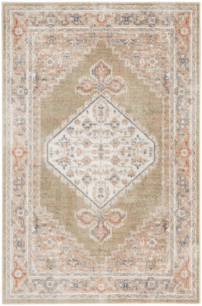 Nourison Astra Sage & Multicolor Pet Friendly Machine Washable Rug - 3'3" x 5'