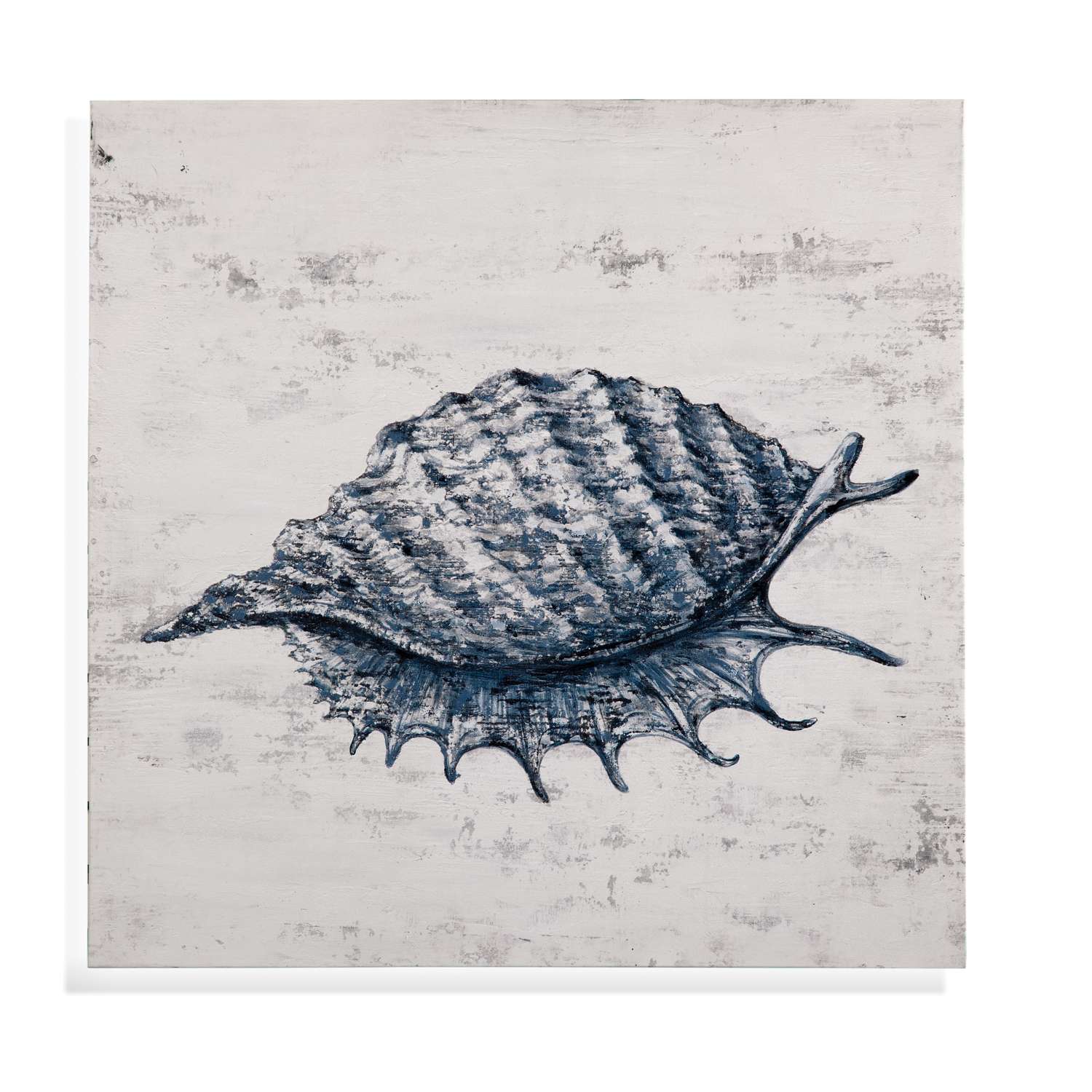 Shell I Canvas Art - Straight On