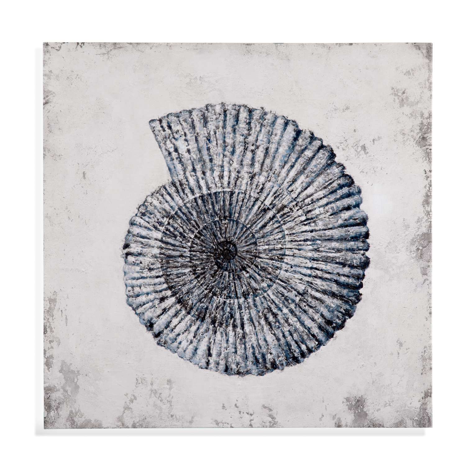 Shell II Canvas Art - Straight On